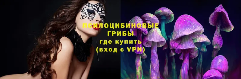 Галлюциногенные грибы Magic Shrooms  Минусинск 